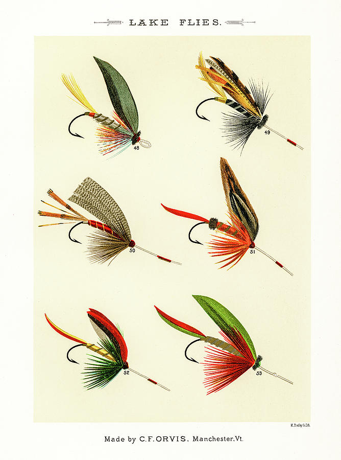 Fly Fishing Lures 7 Drawing by David Letts