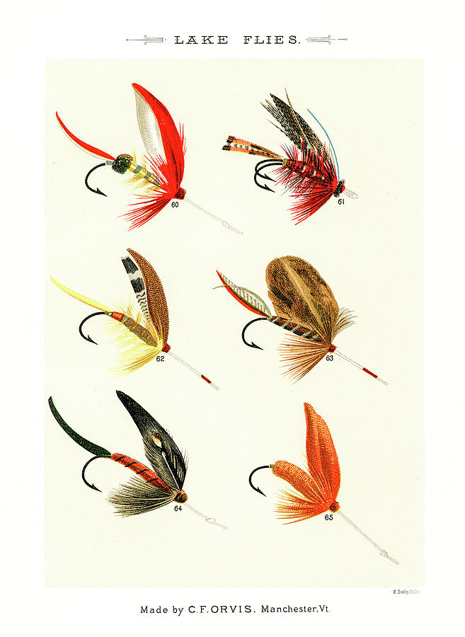 Fly Fishing Lures 9 Drawing by David Letts