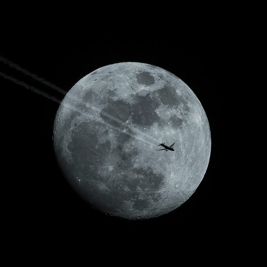 Fly Me To The Moon Photograph by By Mediotuerto