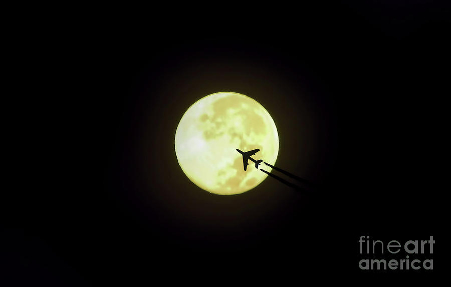 Fly Me To The Moon Digital Art by D Hackett