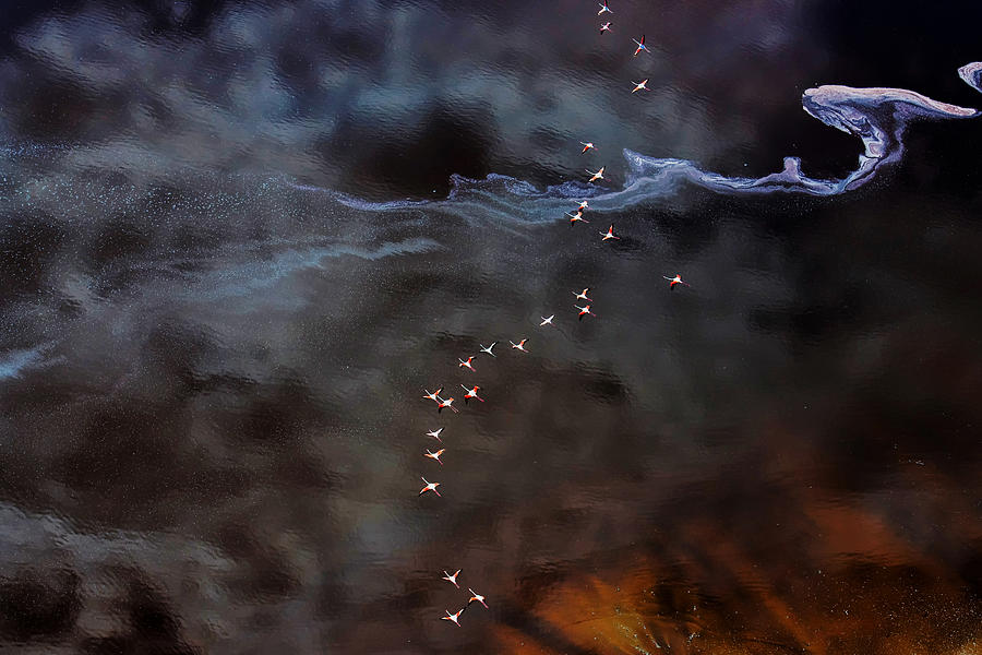 Fly Over The Fantasy Lake Photograph by Hao Jiang
