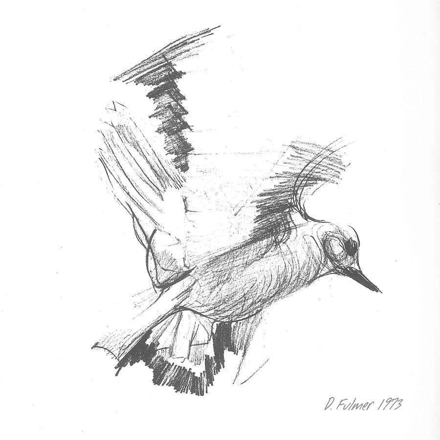 Flying Bird Line Drawing Art Print unframed - Etsy-saigonsouth.com.vn