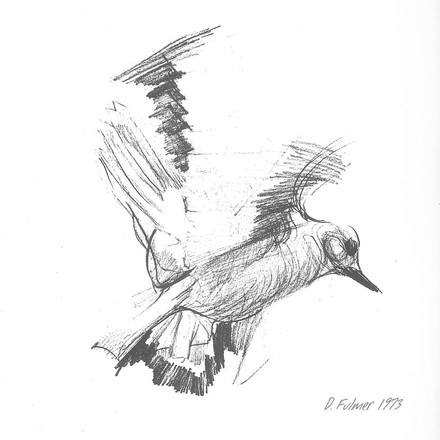 flying birds drawing