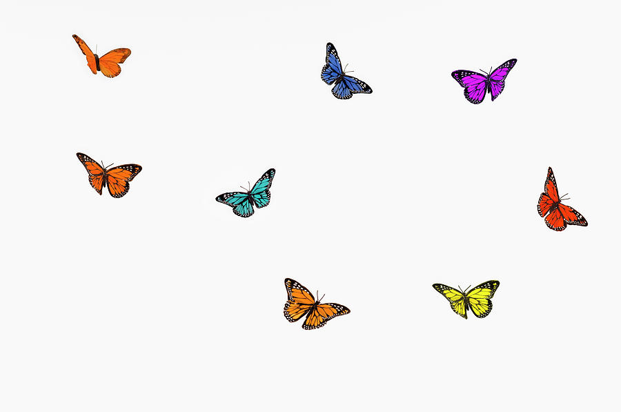 Flying Butterflies by Creatas Images