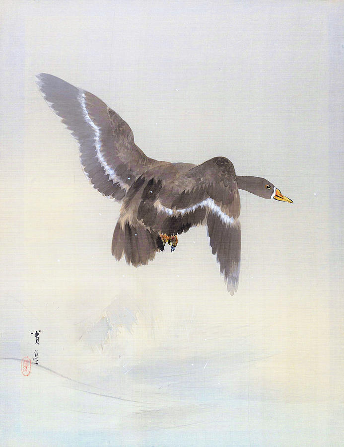 Flying Duck - Digital Remastered Edition Painting by Watanabe Seitei