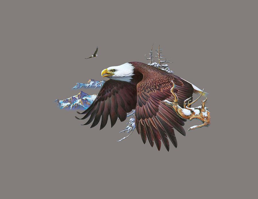 Eagles sketch pencil drawing by hand Royalty Free Vector