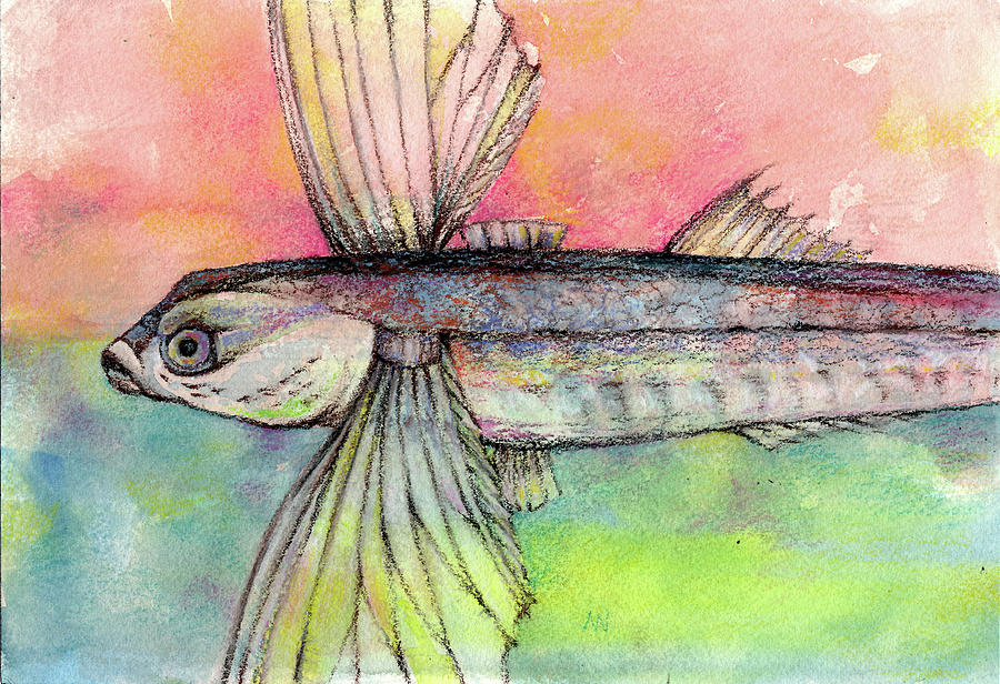 Flying Fish from Barbados Pastel by AnneMarie Welsh