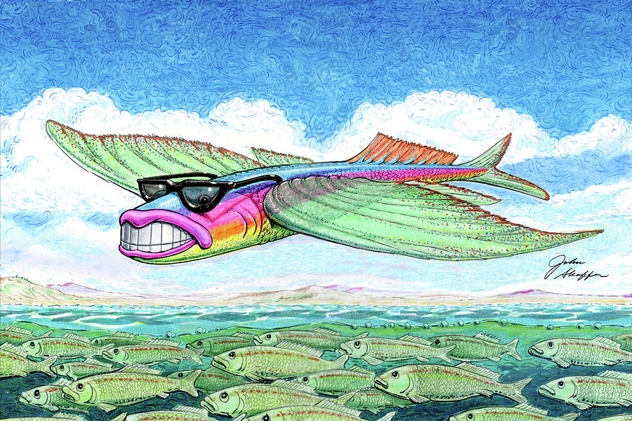 Flying Fish Drawing by John Shaffer - Fine Art America