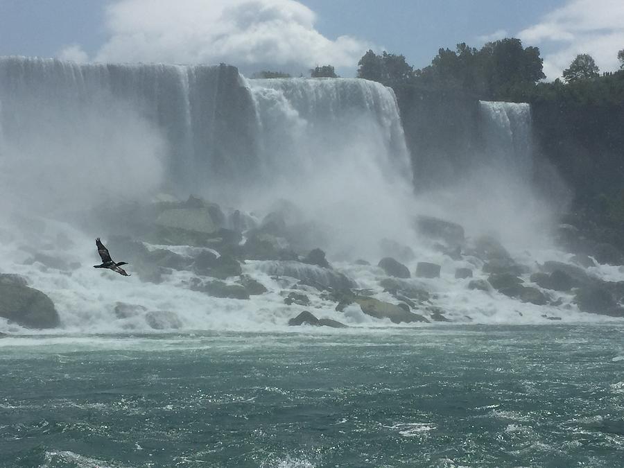 Flying Free over Niagara Falls Photograph by Robin Valentine