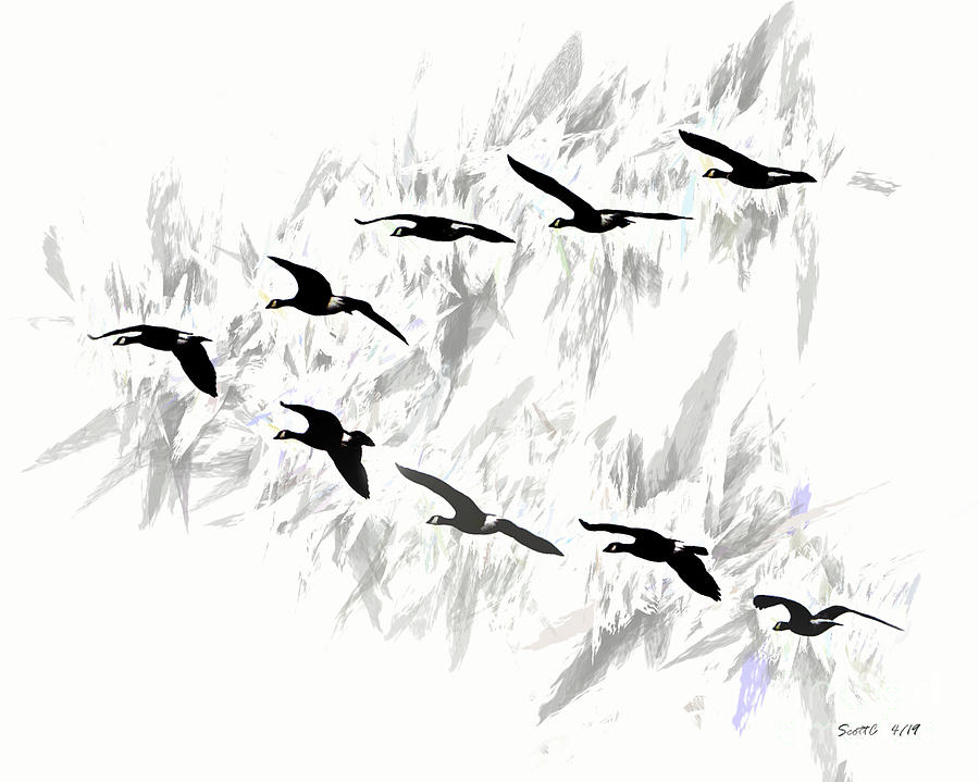 Flying Geese Abstract Art Photograph by Scott Cameron