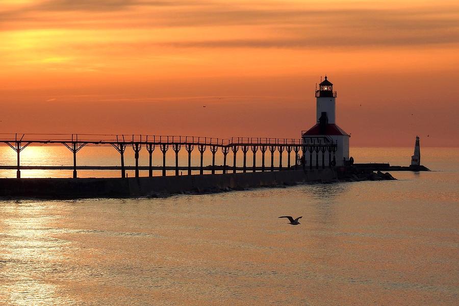 Flying in at Sunset Photograph by Carmen Macuga - Fine Art America