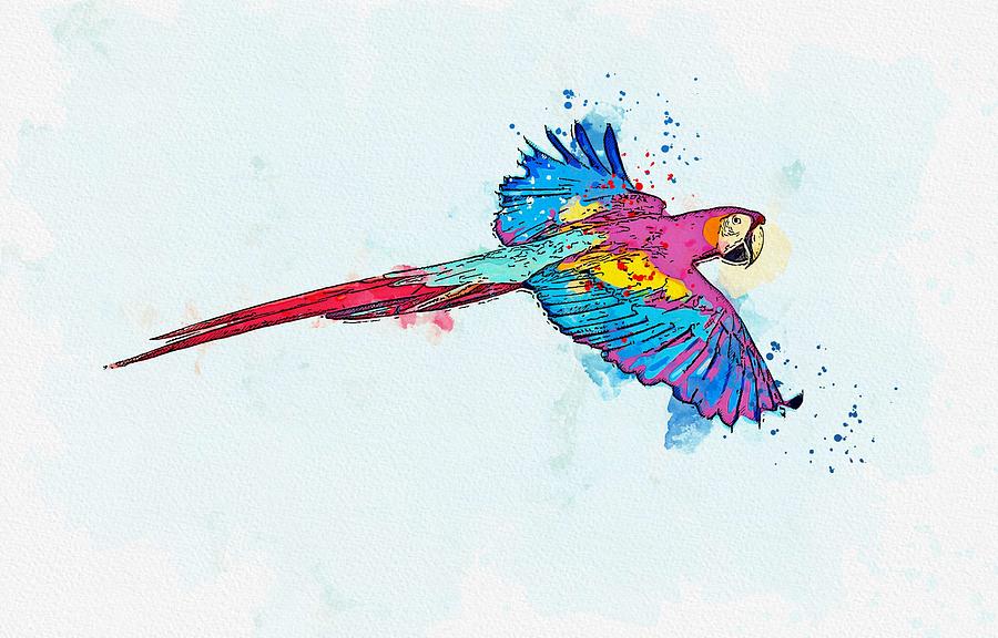 Flying Macaw -  watercolor by Ahmet Asar Painting by Celestial Images