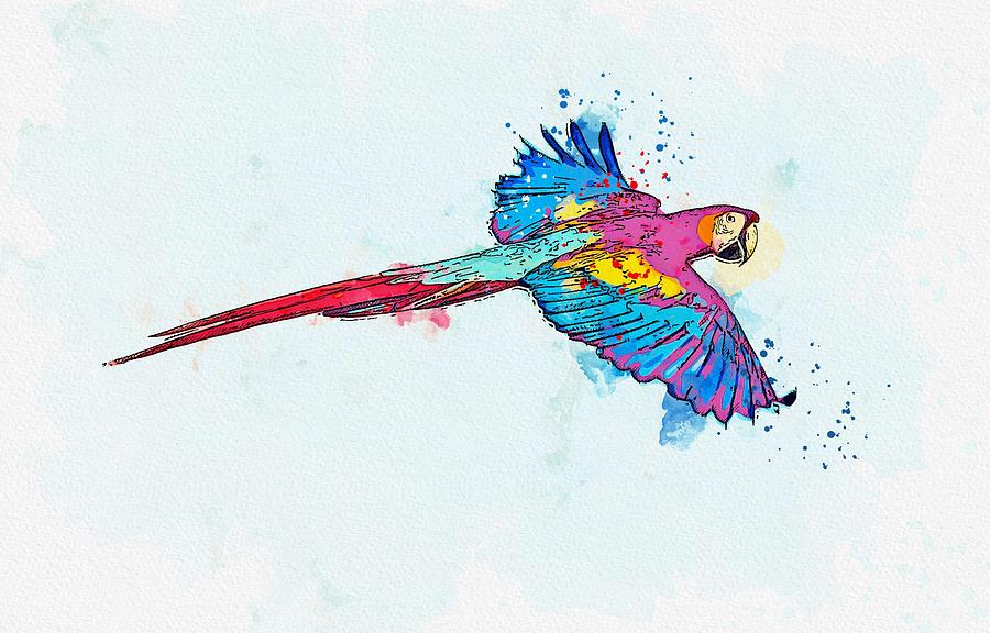 macaw flying drawing