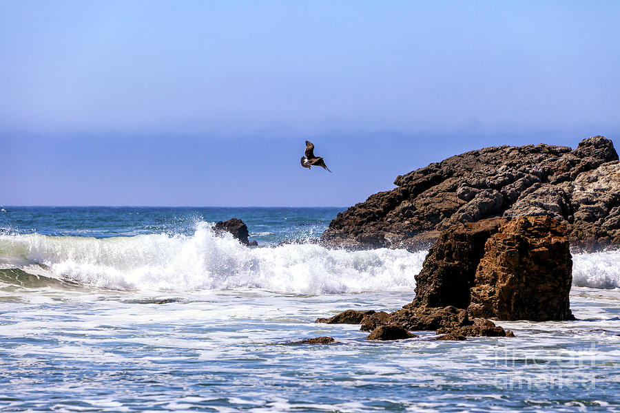 Flying Over Point Dume in Malibu Photograph by John Rizzuto