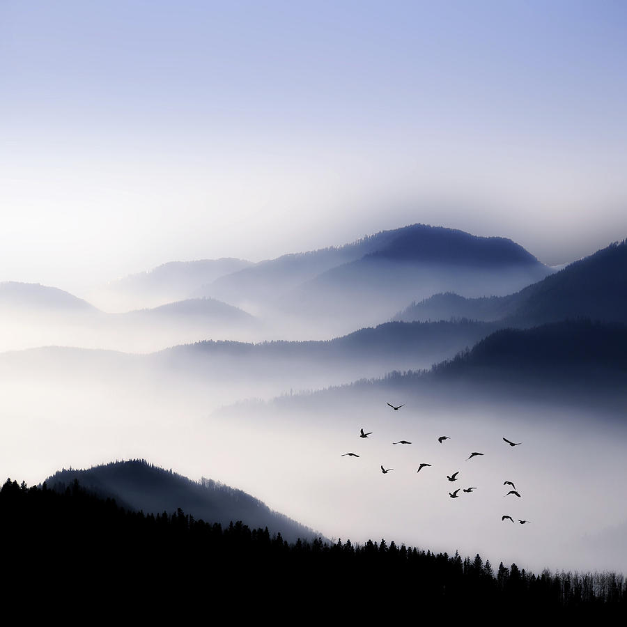 Flying Over The Fog Photograph by Philippe Sainte-laudy Photography