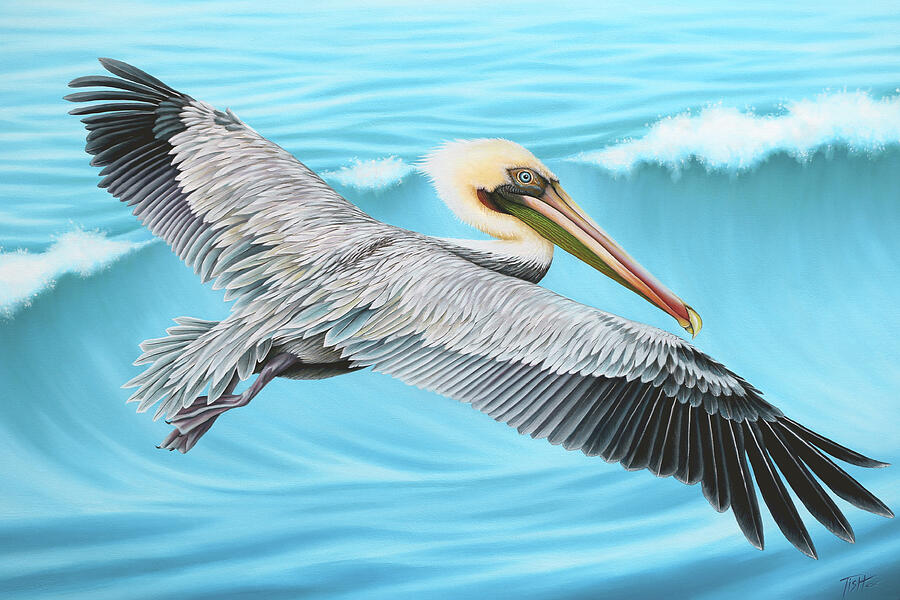 Flying Pelican Painting by Tish Wynne