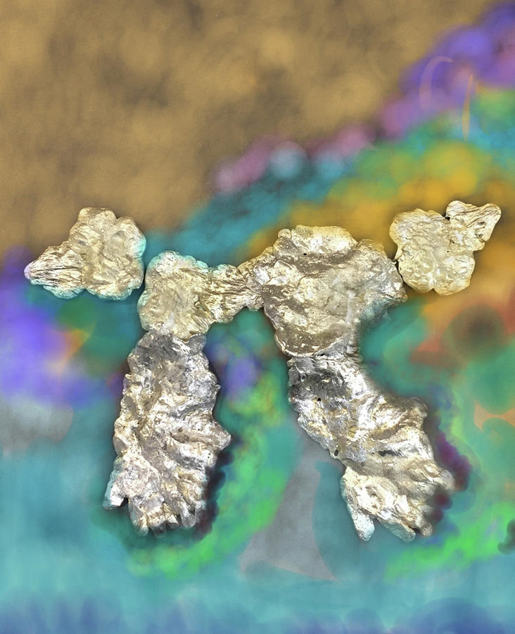 Flying Silver Poodle Dog by Gail Eisenfeld Flying Silver Poodle Dog by Gail Eisenfeld