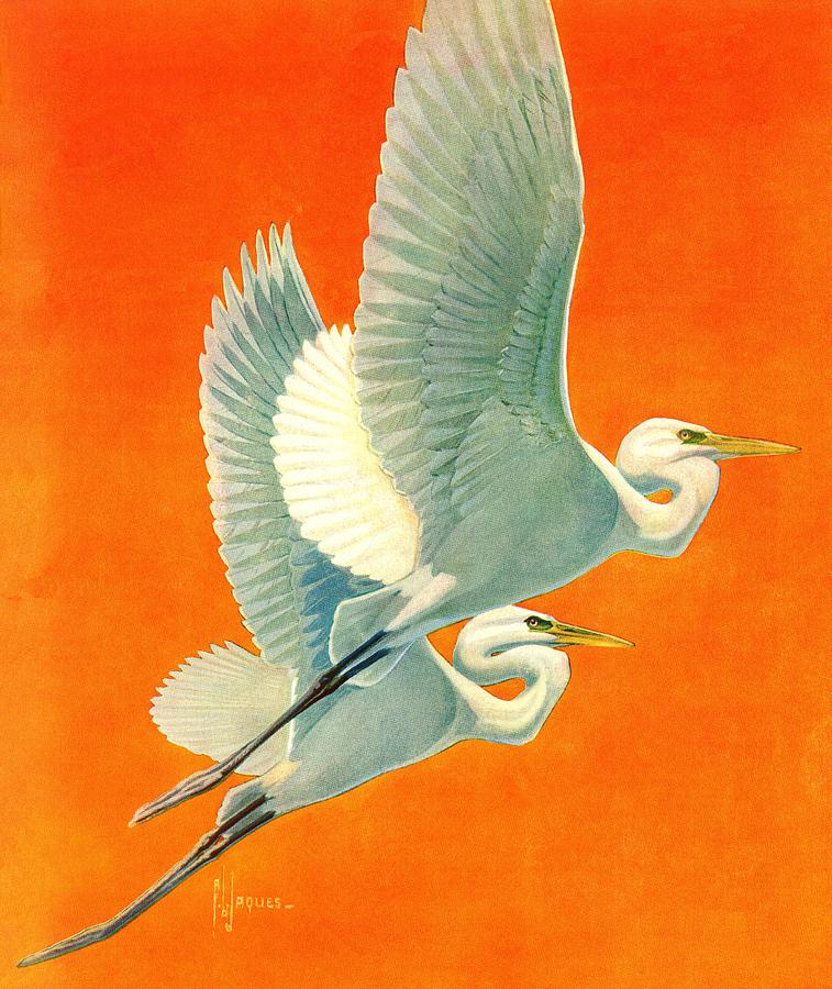 Flying Storks Drawing by Francis Lee Jaques