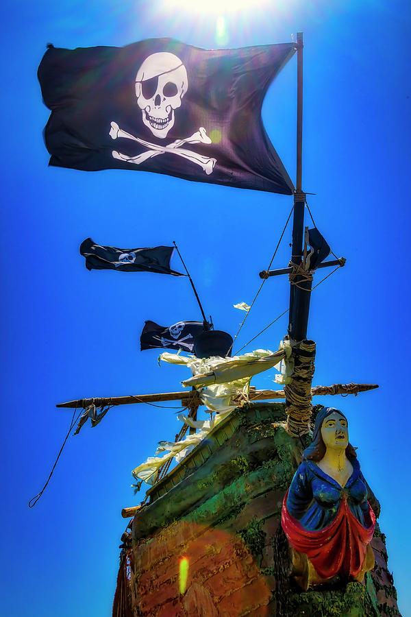 Flying The Skull And Bones Photograph by Garry Gay
