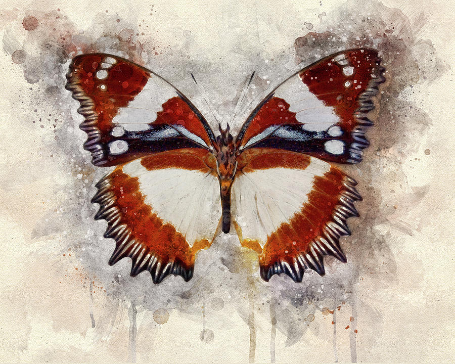 Flying Through Color by Leda Robertson Flying Through Color by Leda Robertson
