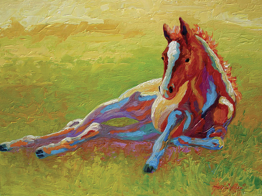 Animal Painting - Foal Lying by Marion Rose