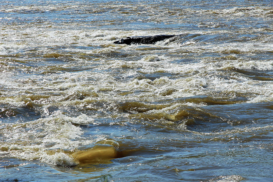 Potomac River Waves - 1 Photograph