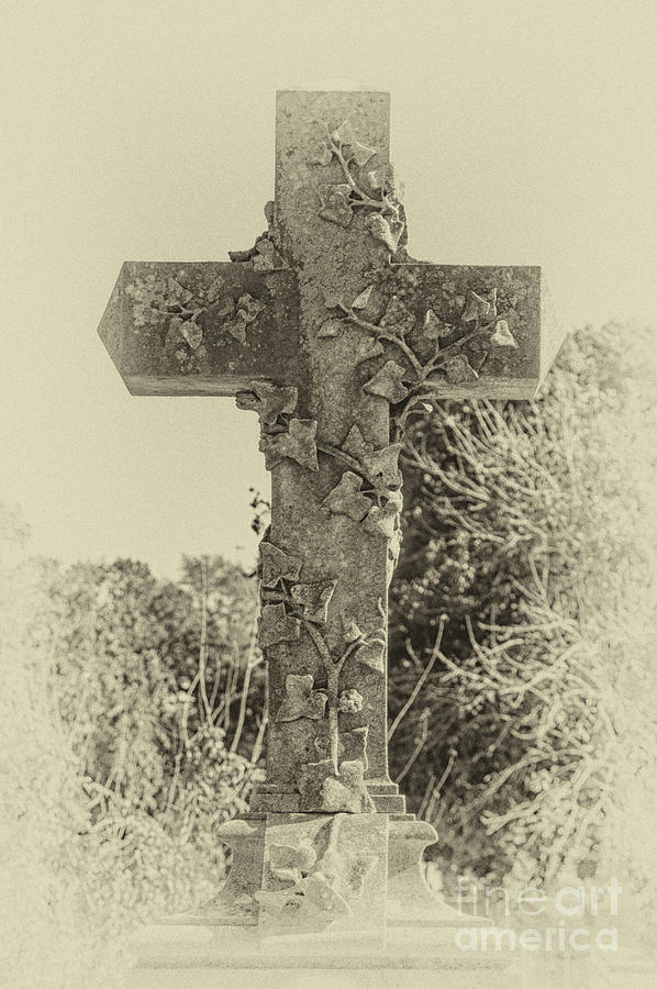 Focus On The Cross - Magnolia Cemetery Photograph