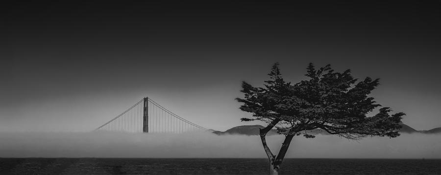 Landscape Photograph - Fog And Golden Gate Bridge by Jiahong Zeng