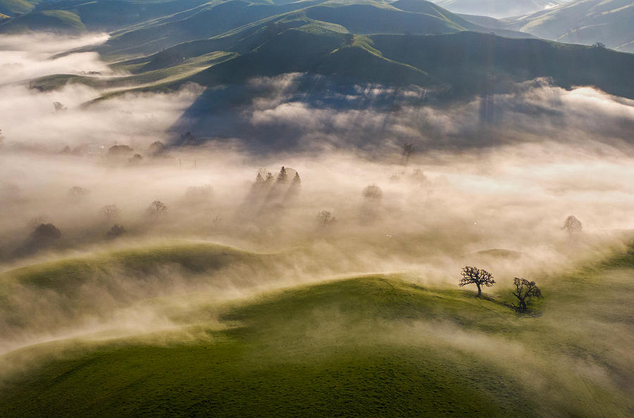 Fog And Light On Spring Hills Photograph by Dianne Mao