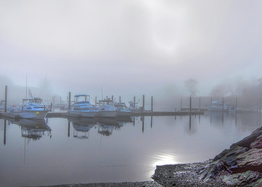 Foggy Day At the Marina Photograph by Cordia Murphy