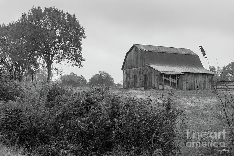 Fog Behind The Barn Grayscale Photograph by Jennifer White