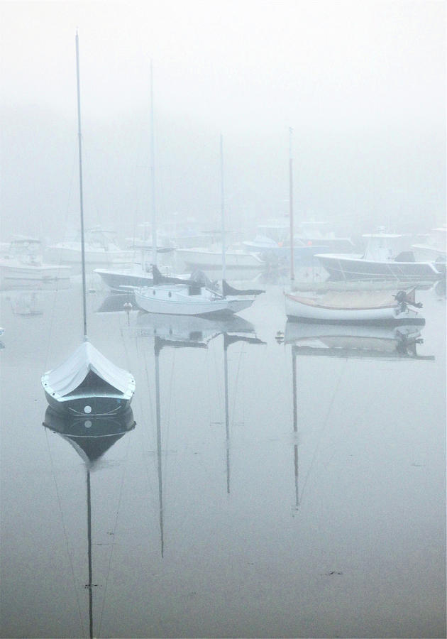 Fog Bound in Harbor Photograph by Sharon Williams Eng