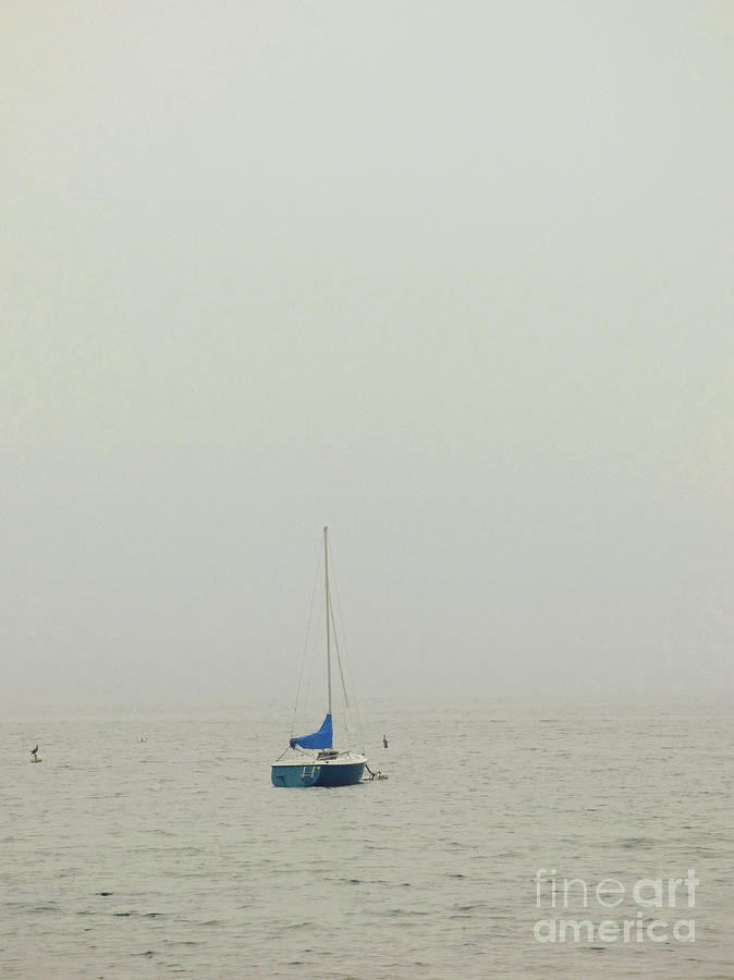 Fog Bound on Cape Cod 300 Photograph by Sharon Williams Eng