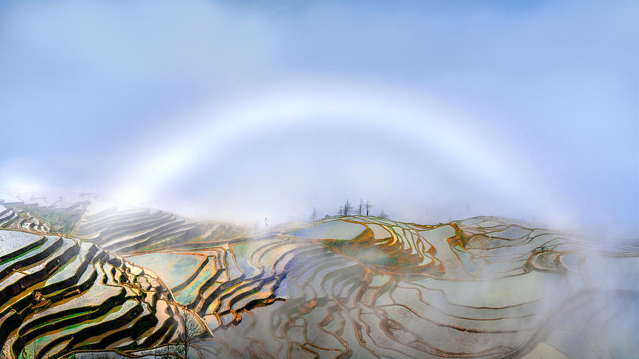 Fog Bow In Rice Terraces Photograph by Hua Zhu