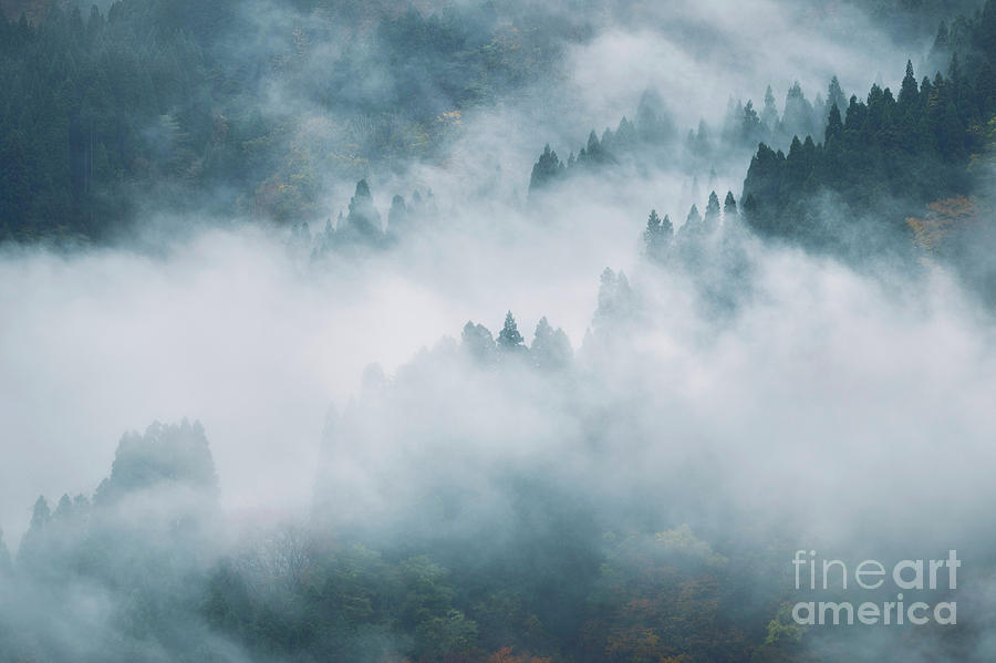 Fog covered mountain forest abstract nature scenery Toyama Japan Photograph by Maxim Images Exquisite Prints