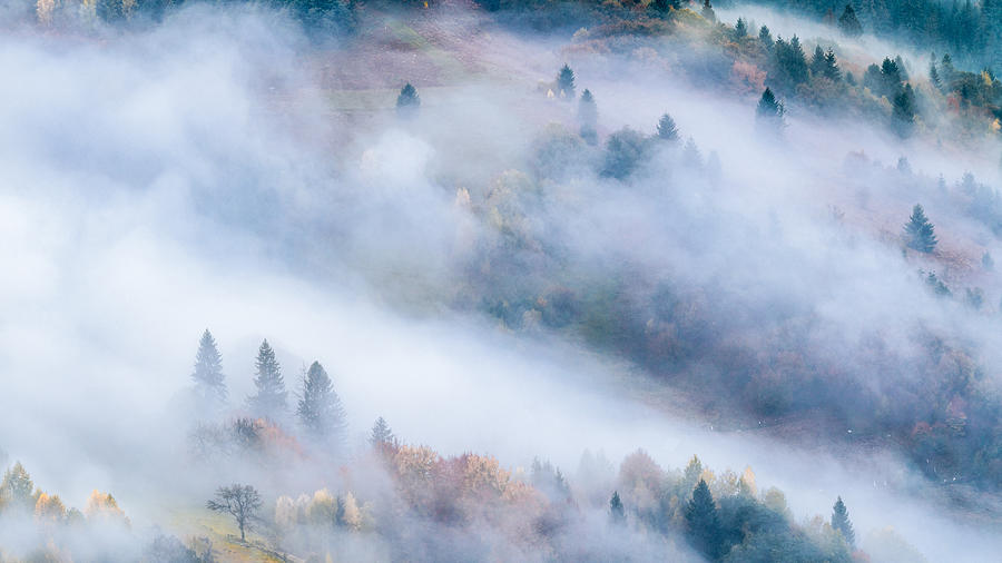 Fog Photograph by Haim Rosenfeld