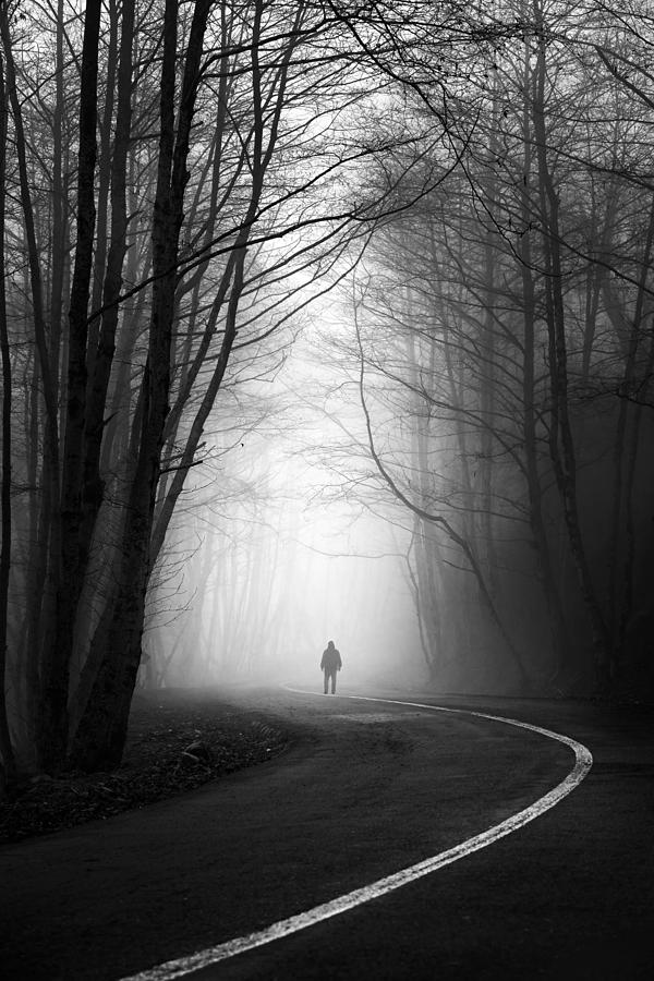 Fog Photograph by Hosein Babaei