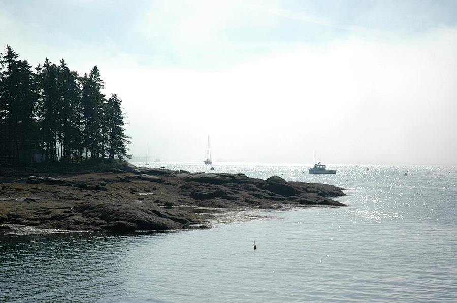 Fog in Boothbay Harbor Photograph by Mark Duehmig