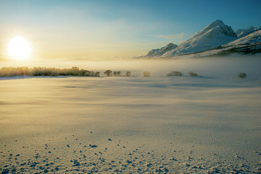 Morning Mist in Lofoten 7 Photograph by Dubi Roman