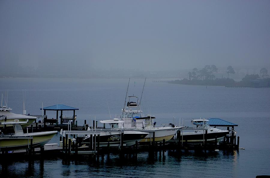 Boat Photograph - Fog in Terry Cove by Norma Brock