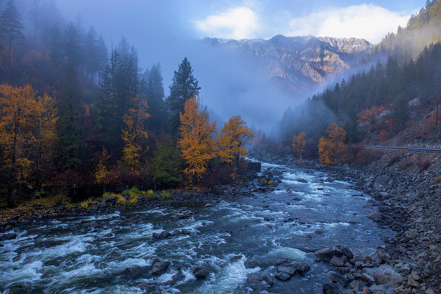 Fog In The Canyon Photograph by Lynn Hopwood