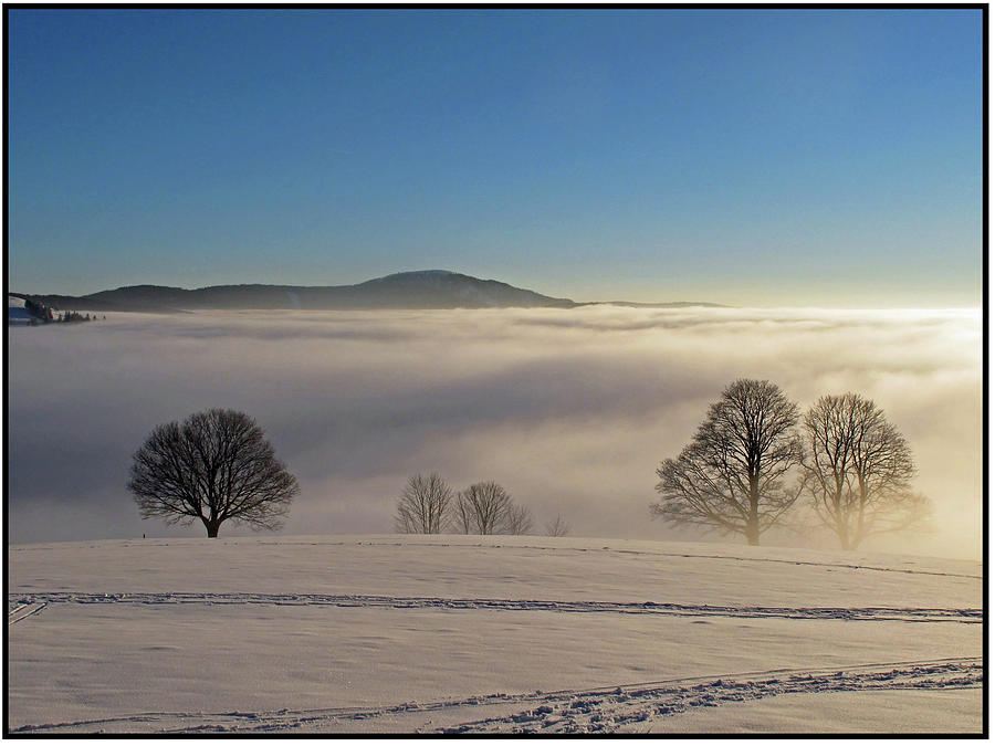 Nature Photograph - Fog In Valleys And Wonderful Sunshine by I Hope You Have A Lot Of Fun