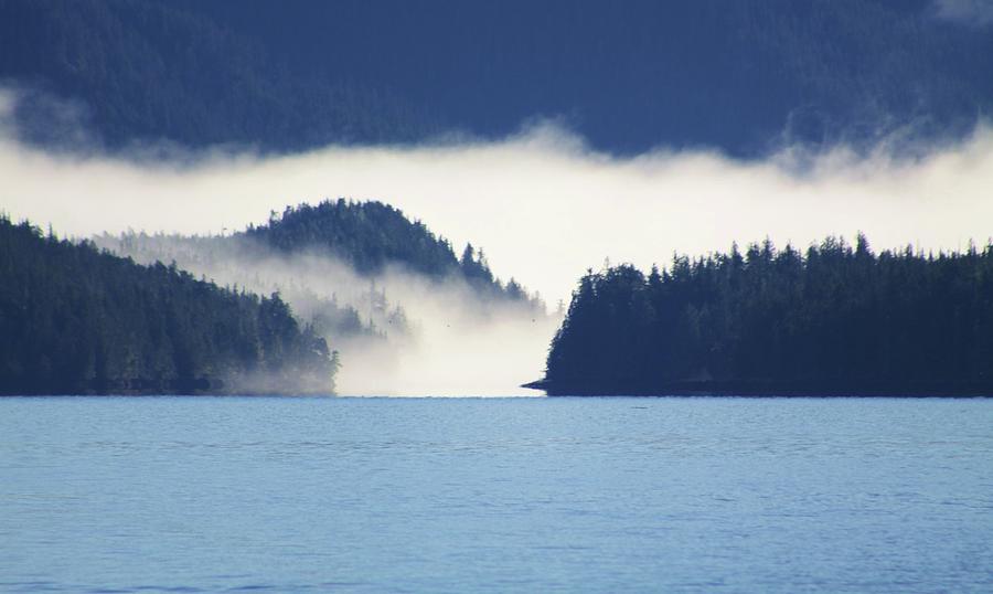 Fog Narrows Photograph by Fred Bailey