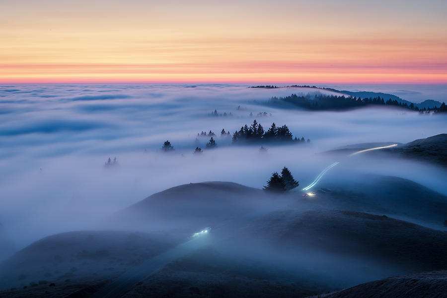 Fog On Mt Tamalpais Photograph by Ryan Li