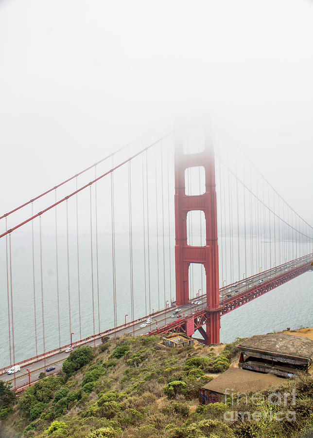 Fog On The Golden Gate Photograph