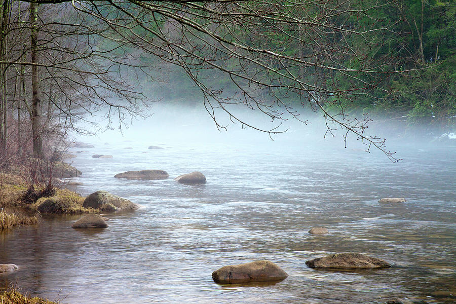Fog On The Lehigh River Photograph by Michael Gadomski