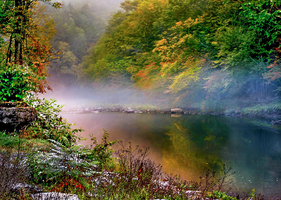 Fog on Willowemac Trout Stream  in Catskill Mountains New York Photograph by Cordia Murphy