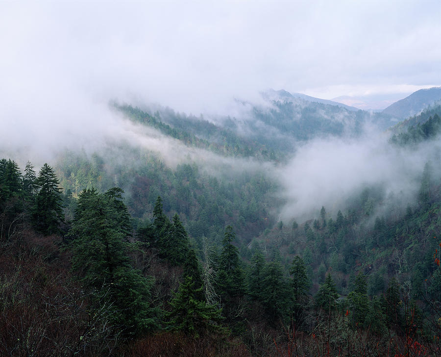 Fog Over A Mountain Range, Cherokee Photograph by Panoramic Images