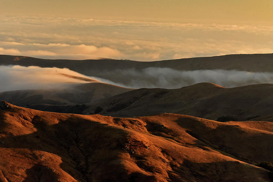 Fog over Golden Hills Photograph by Cindy McIntyre