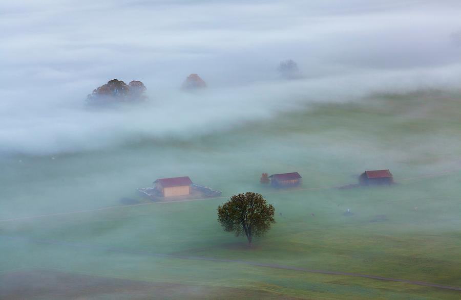 Fog Over Landscape Digital Art by Olimpio Fantuz